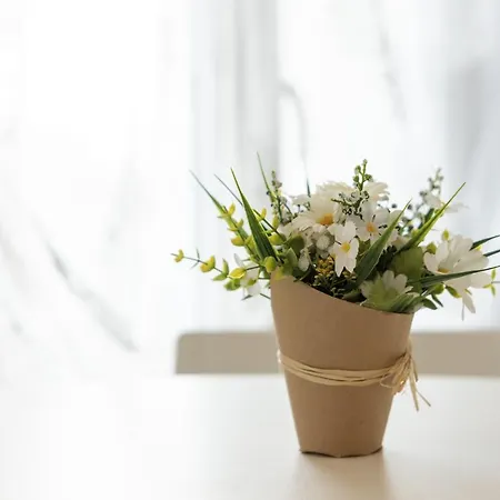 Panzió Ca Bianca Ventisette