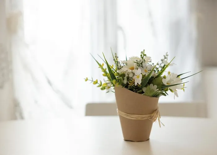 Alojamento de Acomodação e Pequeno-almoço Cá Bianca Ventisette